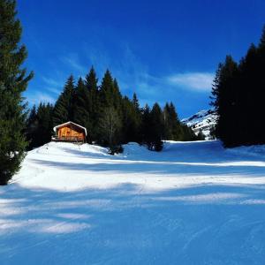 Appartement Pointe Pelouse