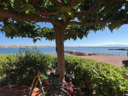 Appartement Port Barcarès, 2 pièces, 6 personnes - FR-1-81-467