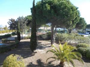 Appartement Port Camargue, 1 pièce, 4 personnes - FR-1-250-226
