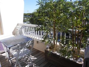 Appartement Port Camargue, 1 pièce, 4 personnes - FR-1-250-238