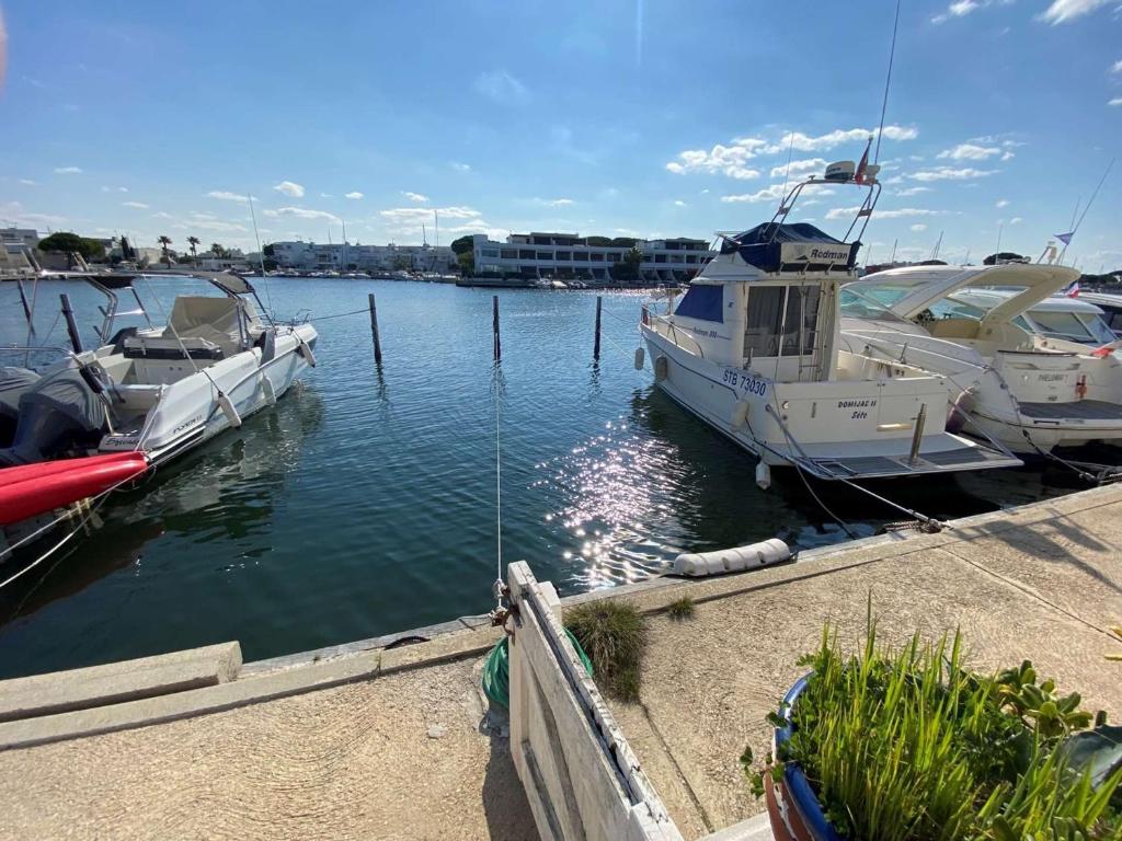 Appartement Port Camargue, 2 pièces, 6 personnes - FR-1-250-231 RUE AMIRAL DE GRASSE MARINAS LES ARPEGES 1, N°65, 30240 Le Grau-du-Roi