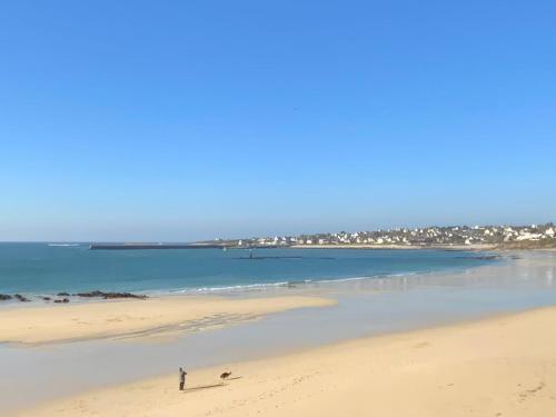 Appartement Port de Tréboul