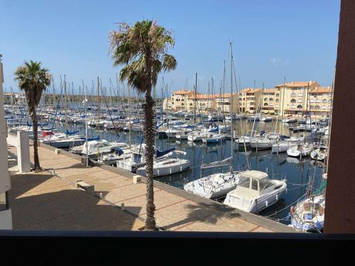 Appartement Port Leucate, 3 pièces, 4 personnes - FR-1-81-579