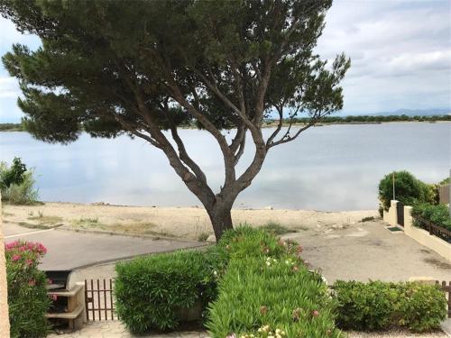 Appartement Port Leucate, 3 pièces, 6 personnes - FR-1-81-122