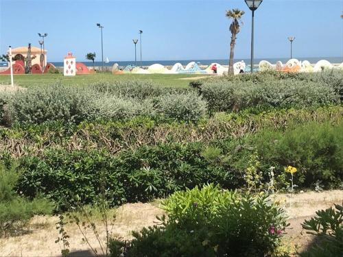 Appartement Port Leucate, 3 pièces, 6 personnes - FR-1-81-126