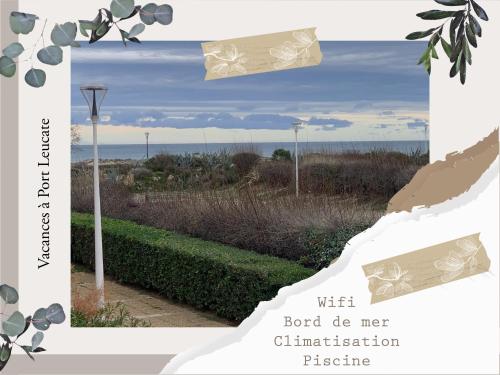 Appartement Port Leucate Pieds dans l Eau - 4p