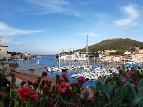 Appartement Port-Vendres, 2 pièces, 6 personnes - FR-1-309-320