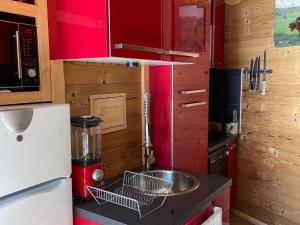 Appartement Pra-Loup, 3 pièces, 4 personnes - FR-1-165A-155