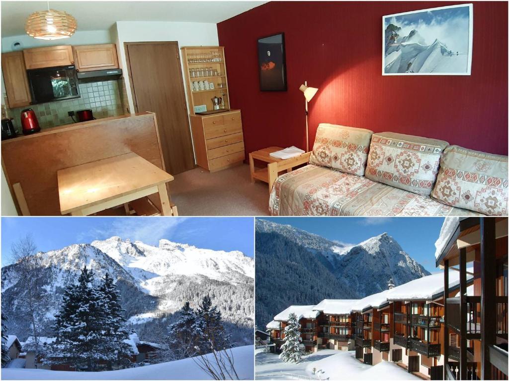 Appartement Appartement Pralognan-la-Vanoise, 2 pièces, 4 personnes - FR-1-464-118 223-239-277-281 Rue Des Xvieme Olympiades -  - 73710 Pralognan-la-Vanoise