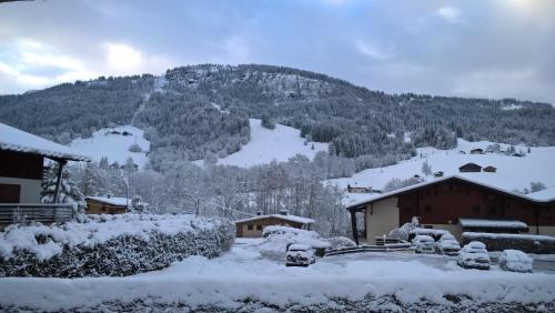 APPARTEMENT PRAZ VILLAGE