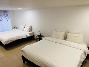 Appartement proche CDG-Parc expositions-Paris-Astérix-Disney
