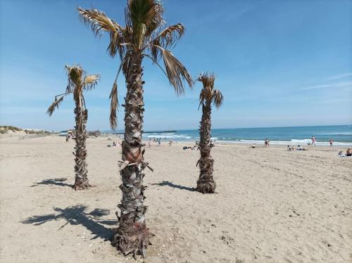 Appartement proche village naturiste résidence beijaflor