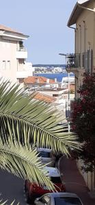 Appartement raffiné Cannes