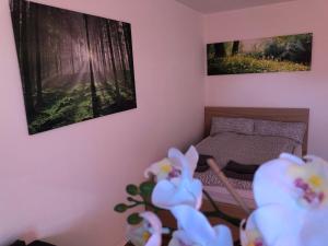 Appartement Redhouse