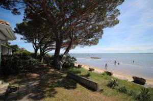 Appartement renove 3 chambres les pieds dans l eau