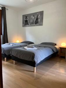 Appartement rez de jardin, 2 chambres/ 4 personnes, garage.