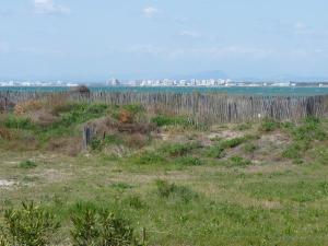 Appartement rez de jardin face a la mer