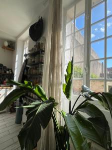 Appartement romantique proche plage prado Perrier