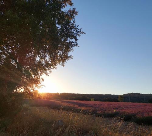 Appartement Roussillon