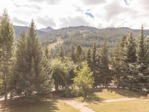 Appartement Saint-Chaffrey , 1 pièce, 4 personnes - FR-1-330E-102