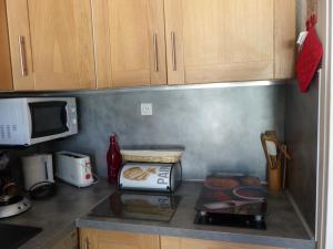 Appartement Saint-François-Longchamp, 1 pièce, 4 personnes - FR-1-635-63
