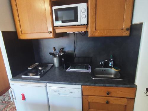 Appartement Saint-François-Longchamp, 2 pièces, 5 personnes - FR-1-635-87