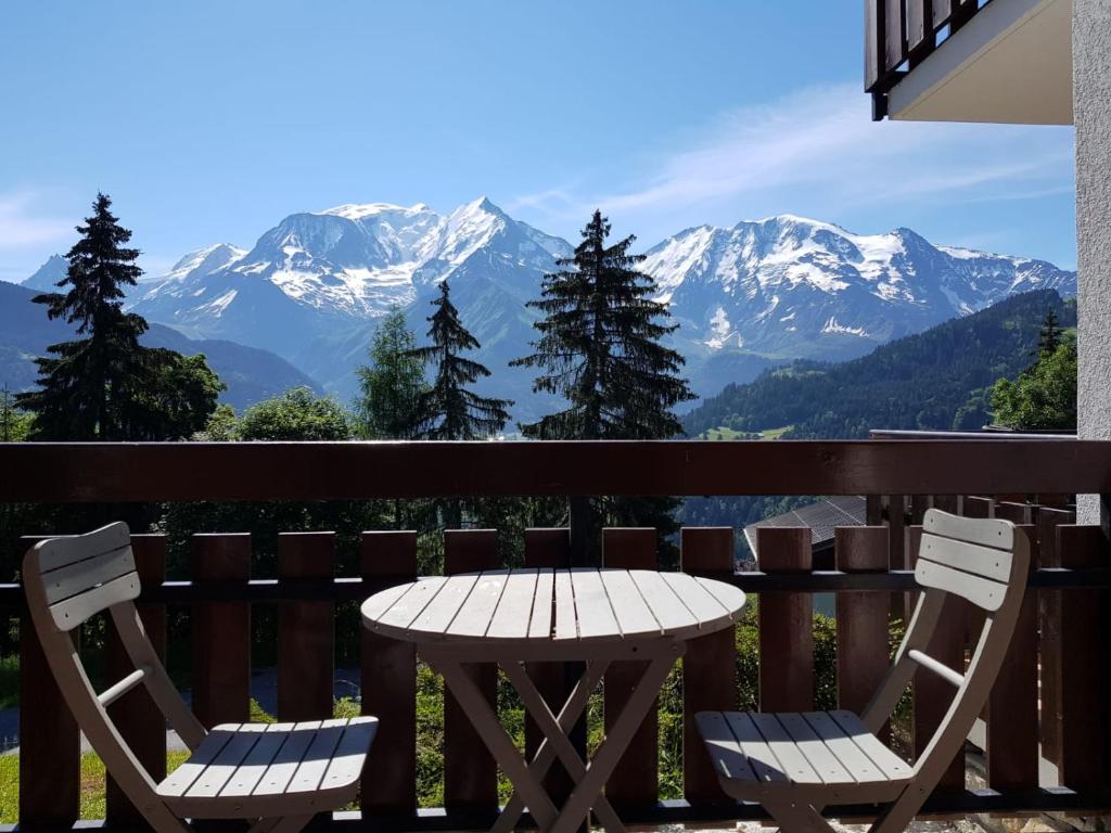 Appartement Appartement Saint Gervais les Bains vue imprenable Mont Blanc 2820 Route du Bettex 74170 Saint-Gervais-les-Bains