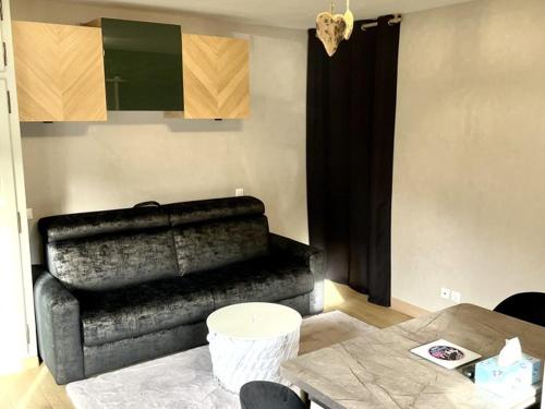 Appartement Saint-Jean-d'Aulps, 1 pièce, 4 personnes - FR-1-573-112