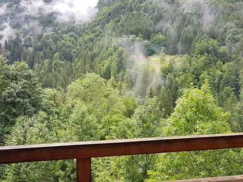 Appartement Saint-Jean-d'Aulps, 1 pièce, 4 personnes - FR-1-573-86