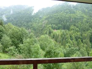 Appartement Saint-Jean-d'Aulps, 1 pièce, 4 personnes - FR-1-573-88