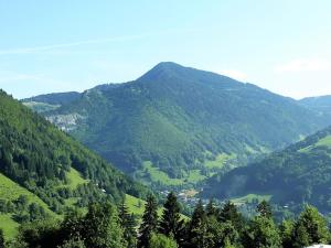 Appartement Saint-Jean-d'Aulps, 2 pièces, 6 personnes - FR-1-573-92
