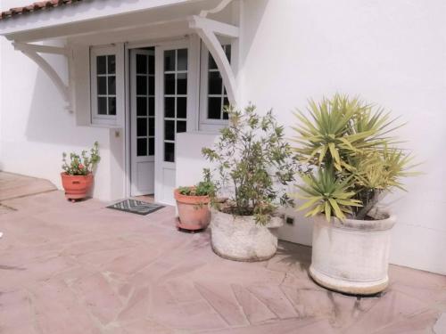 Appartement Saint-Jean-de-Luz, 3 pièces, 4 personnes - FR-1-4-412