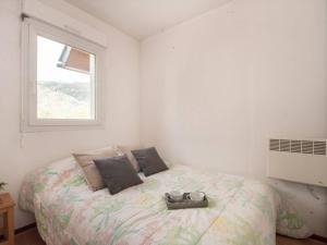 Appartement Saint-Lary-Soulan, 2 pièces, 4 personnes - FR-1-296-264