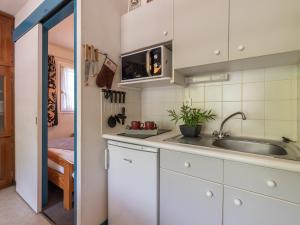 Appartement Saint-Lary-Soulan, 2 pièces, 4 personnes - FR-1-296-380