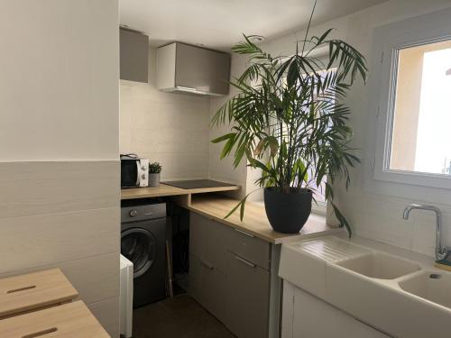 Appartement Saint-Raphaël, 2 pièces, 2 personnes - FR-1-466A-48