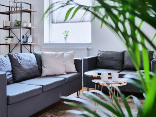 Appartement SCHILLER - Erfurt Zentrum