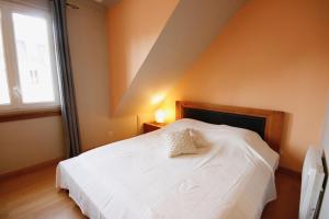 Appartement Schweitzer