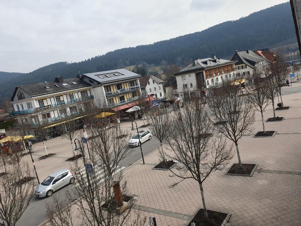 Appartement Appartement Seestrasse 2 Seestraße 79822 Titisee-Neustadt