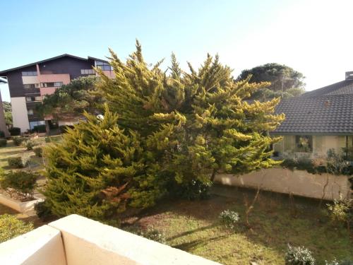 Appartement Seignosse, 2 pièces, 4 personnes - FR-1-239-460