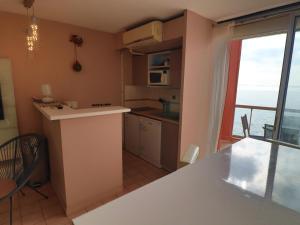 Appartement Sète, 2 pièces, 4 personnes - FR-1-472A-133