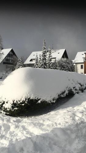 Appartement Skihang -Erlebniskappe