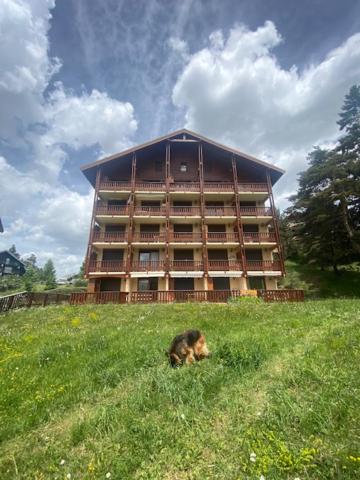 Appartement Appartement skis aux pieds à La Joue du Loup 31 Boucle des Genévriers 05250 Le Dévoluy