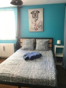 Appartement spacieux 1 chambre en CENTRE VILLE