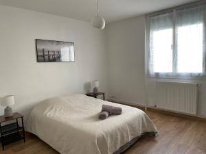 Appartement Spacieux Centre Gare Visitation
