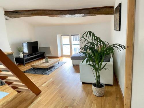 Appartement Spacieux Centre Ville
