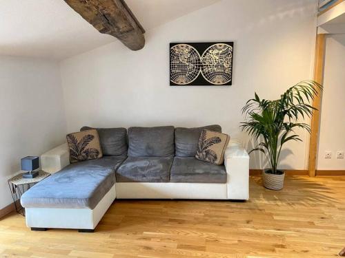 Appartement Spacieux Centre Ville