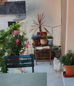 Appartement spacieux et central