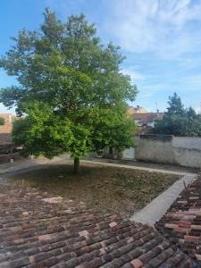 Appartement spacieux La Flotte
