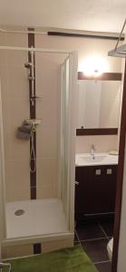 Appartement St Lary Soulan pied des pistes (le Pla d’Adet) 5 personnes