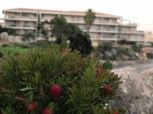 Appartement standing 3 chambres-3 sdb-piscine à débordement-bord de mer